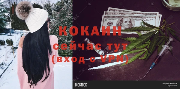спайс Алзамай