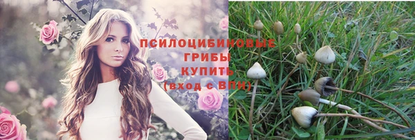 таблы Алексеевка